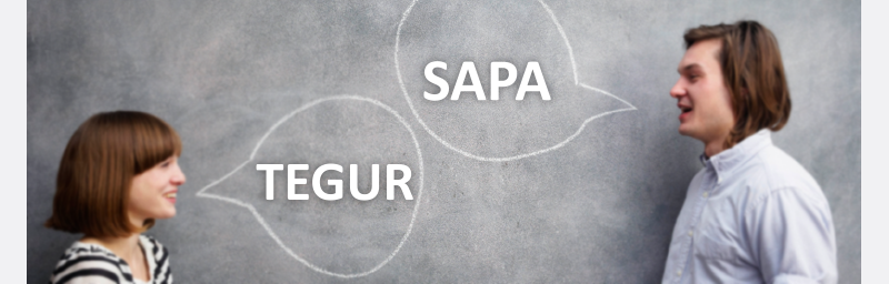 TEGUR SAPA | Experd Consultant - EXPERD